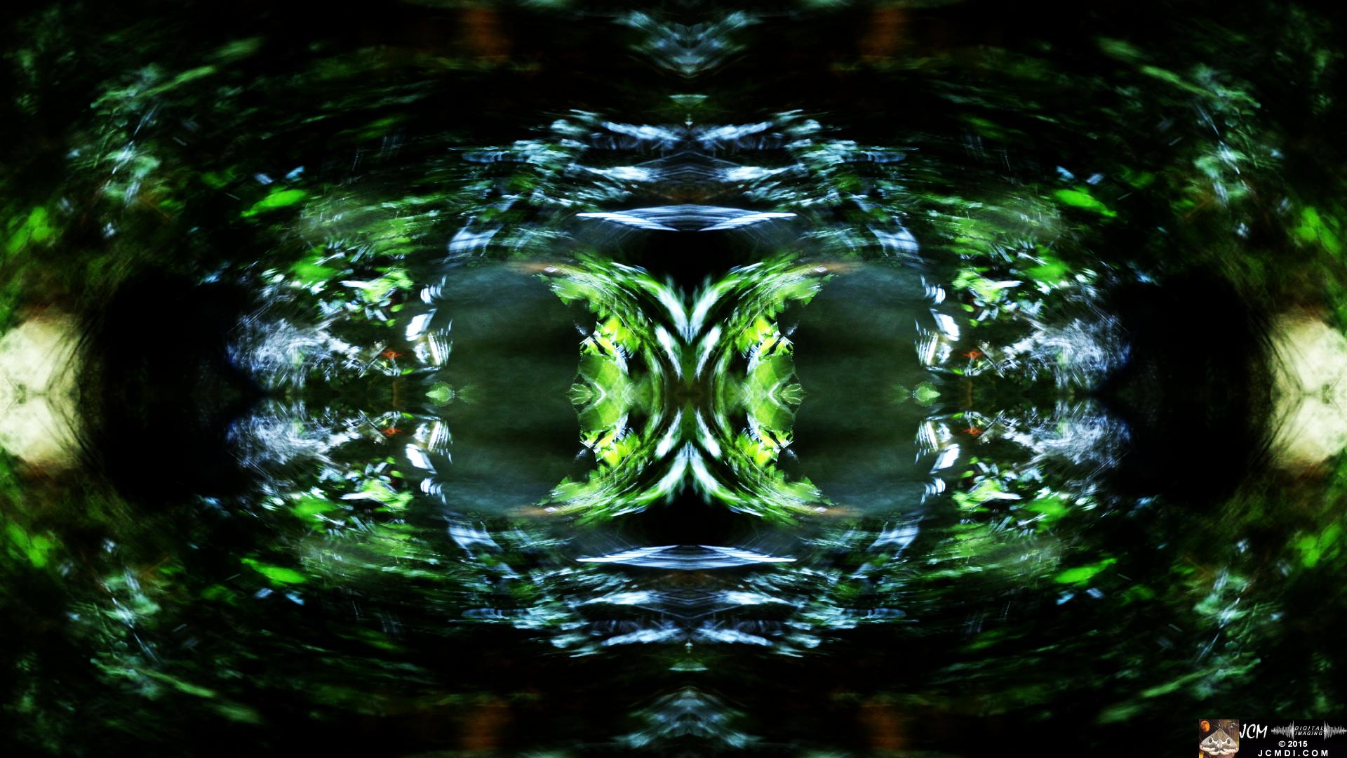 Scrub Jay Nest Time Lapse Hero4 Abstract quadroscopic